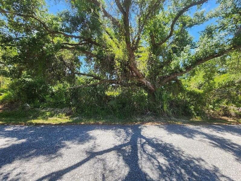 Details for Sevilla Street, NORTH PORT, FL 34287