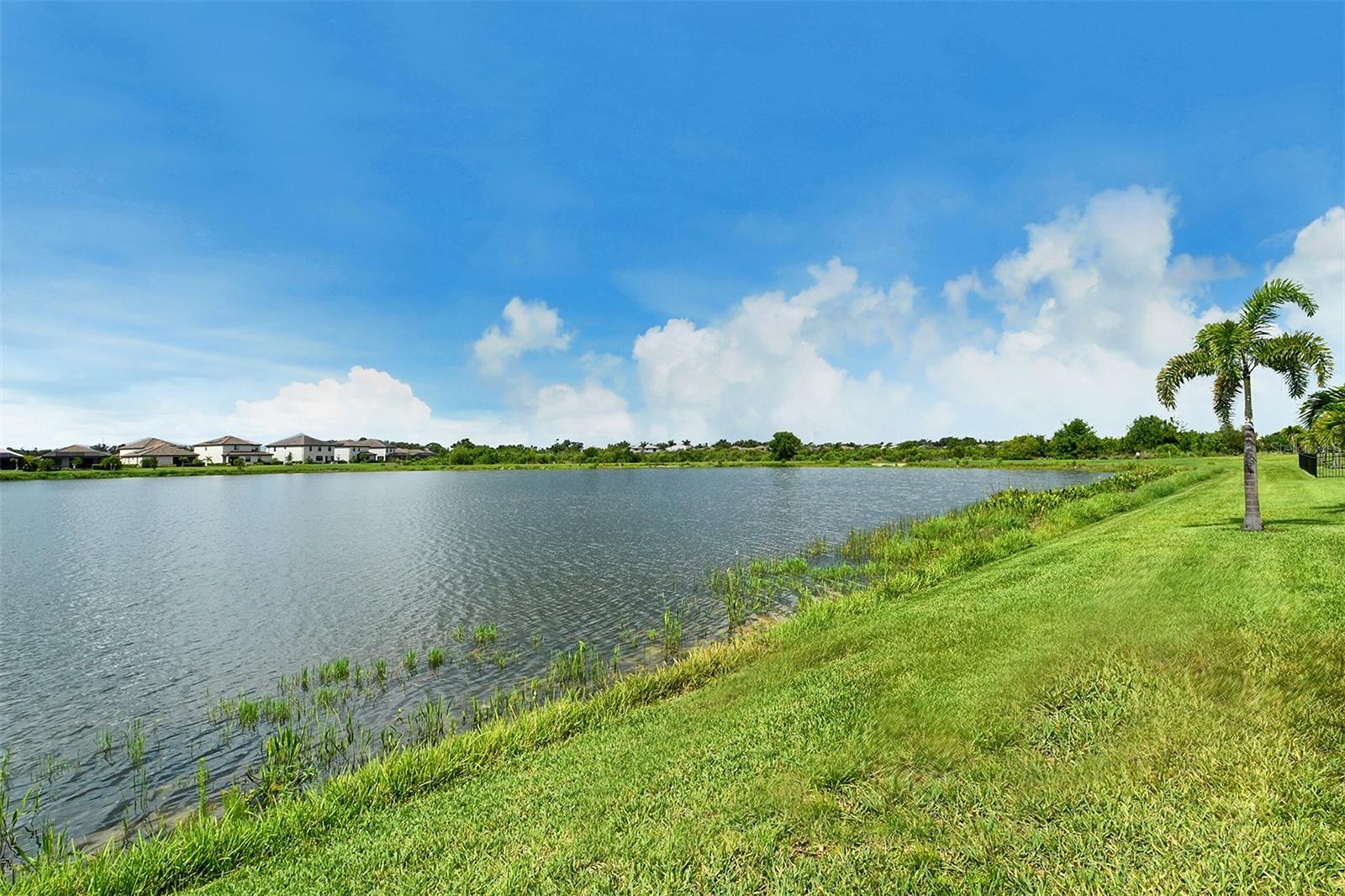 Image 49 of 83 For 17320 Polo Trail
