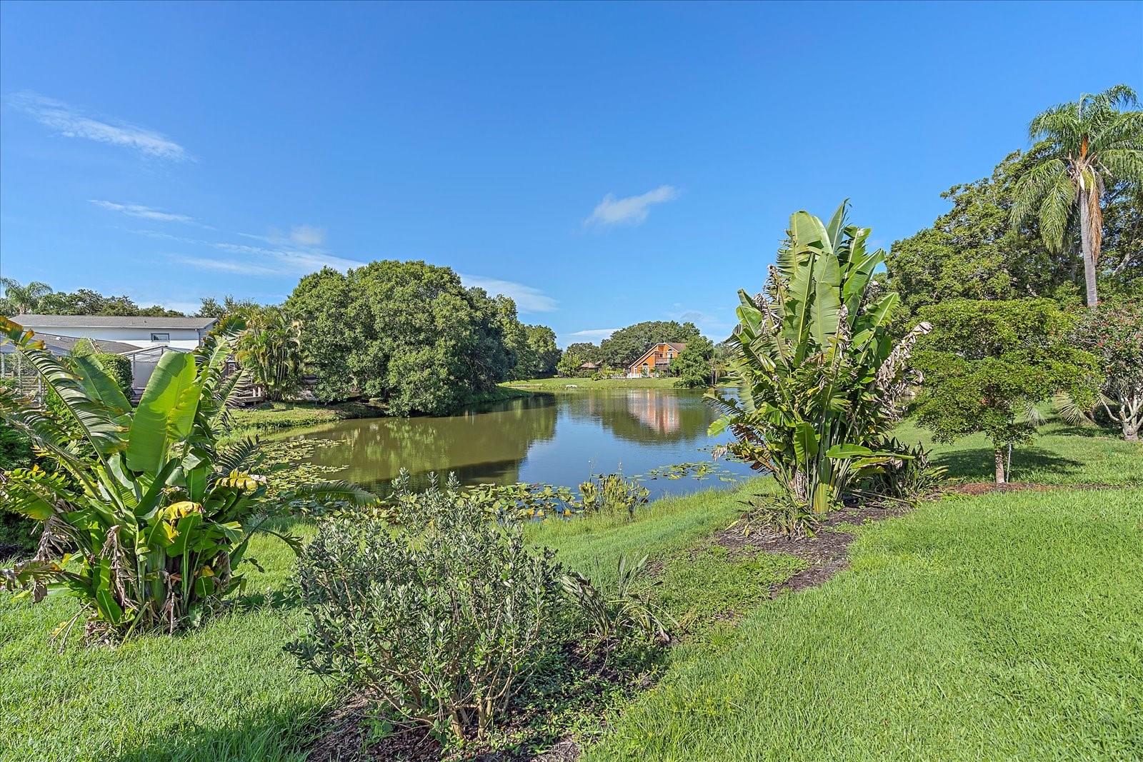 Image 15 of 35 For 4814 Country Oaks Boulevard