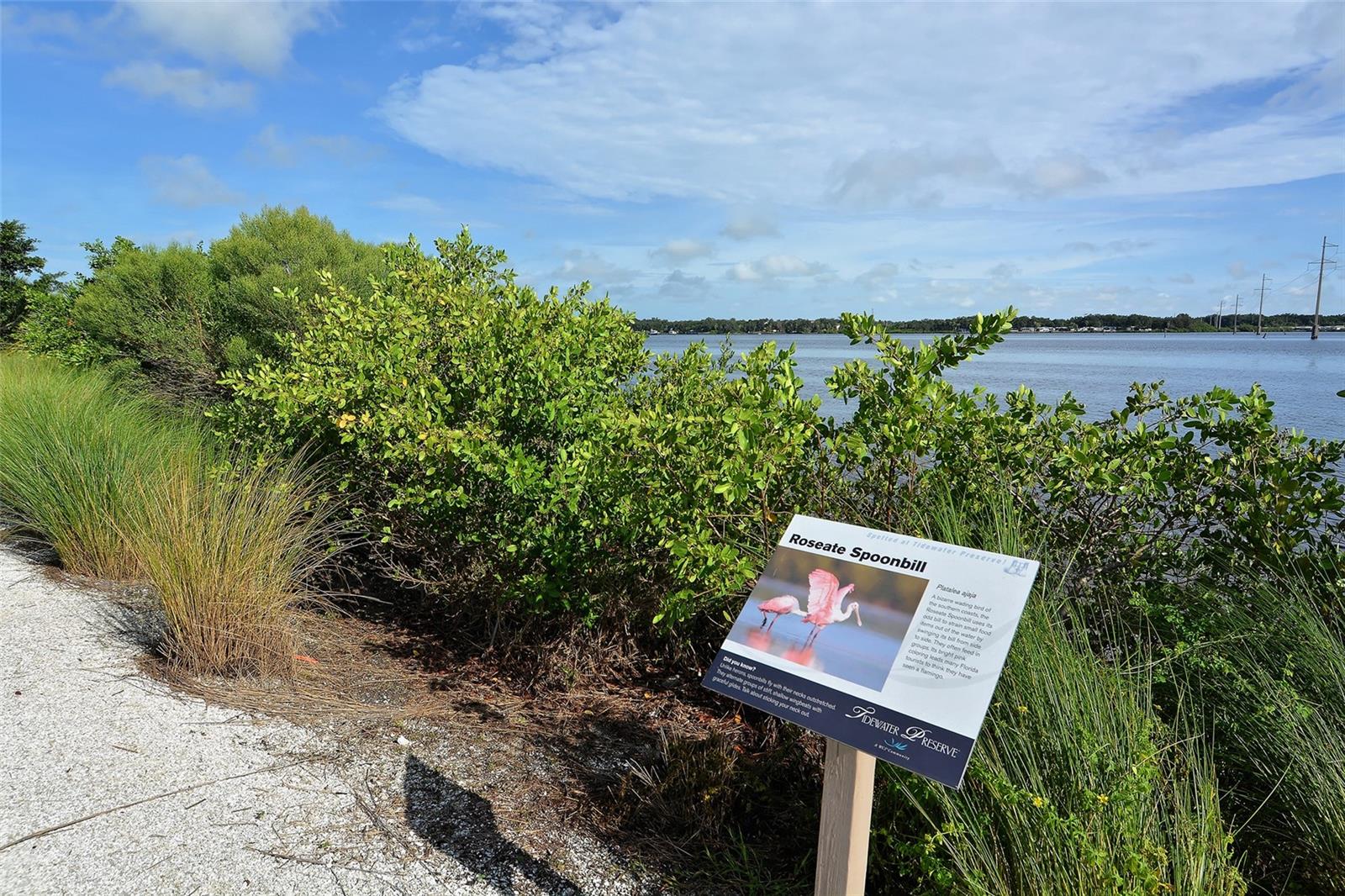 Image 49 of 75 For 1030 Tidewater Shores Loop 307
