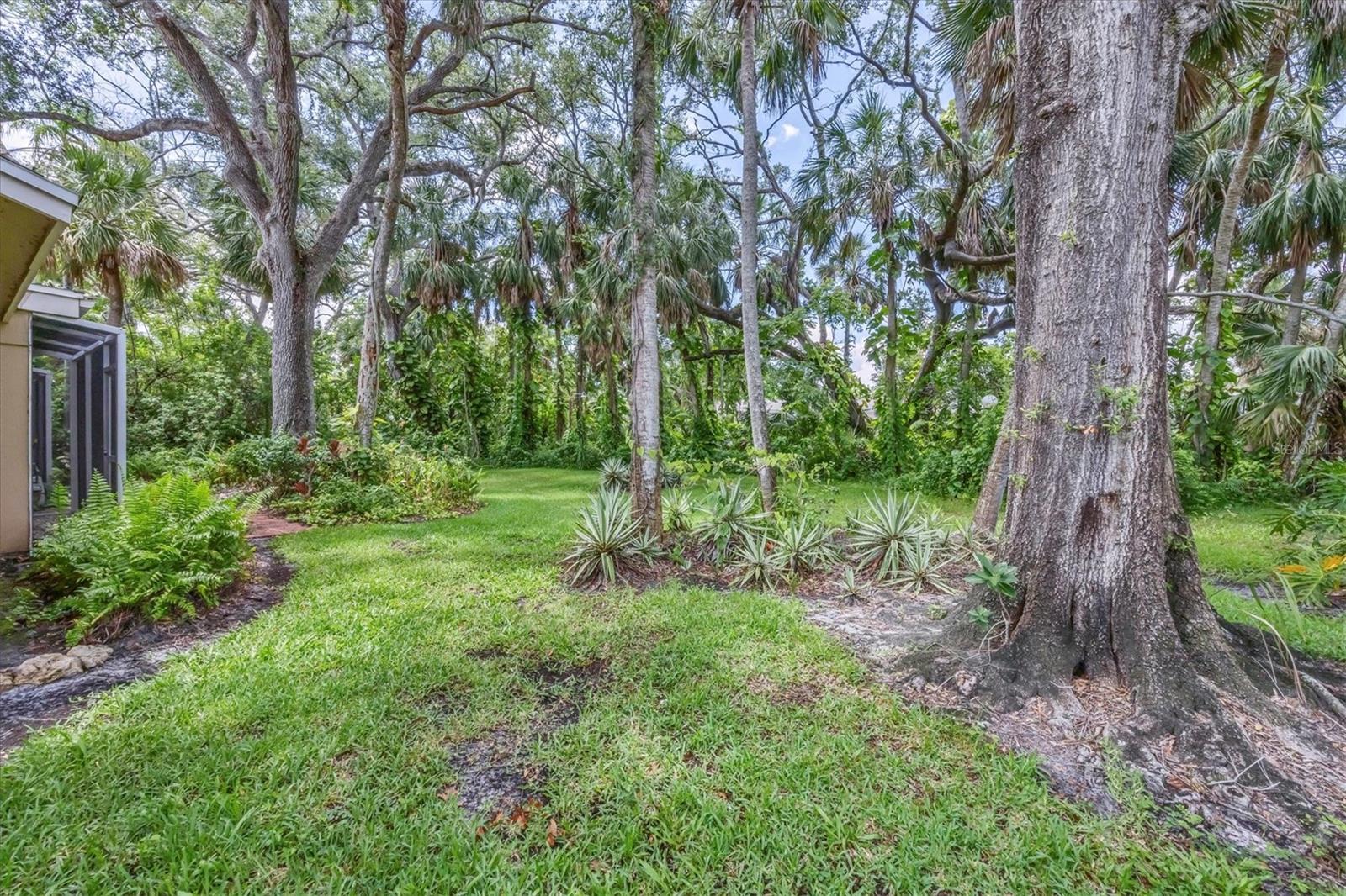 Image 27 of 45 For 5051 Village Gardens Drive 15