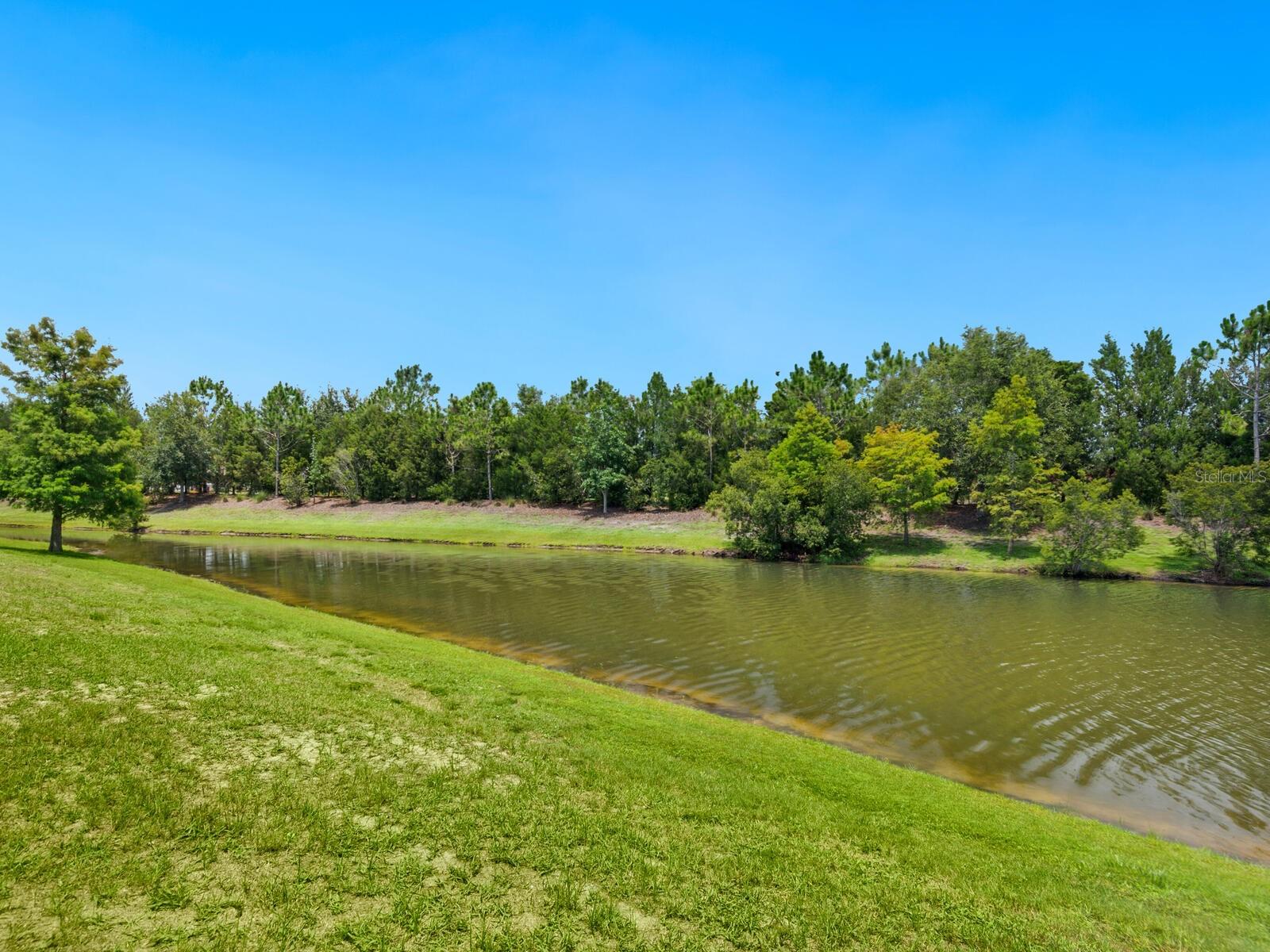 Image 37 of 50 For 7387 Divot Loop 15-d