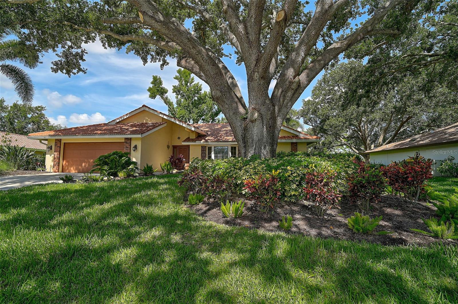 Image 2 of 37 For 1674 Cottonwood Trail