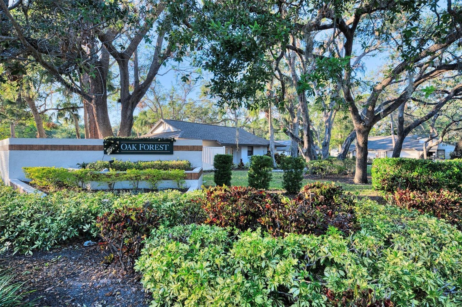 Image 23 of 26 For 4689 Oak Forest Drive E 1