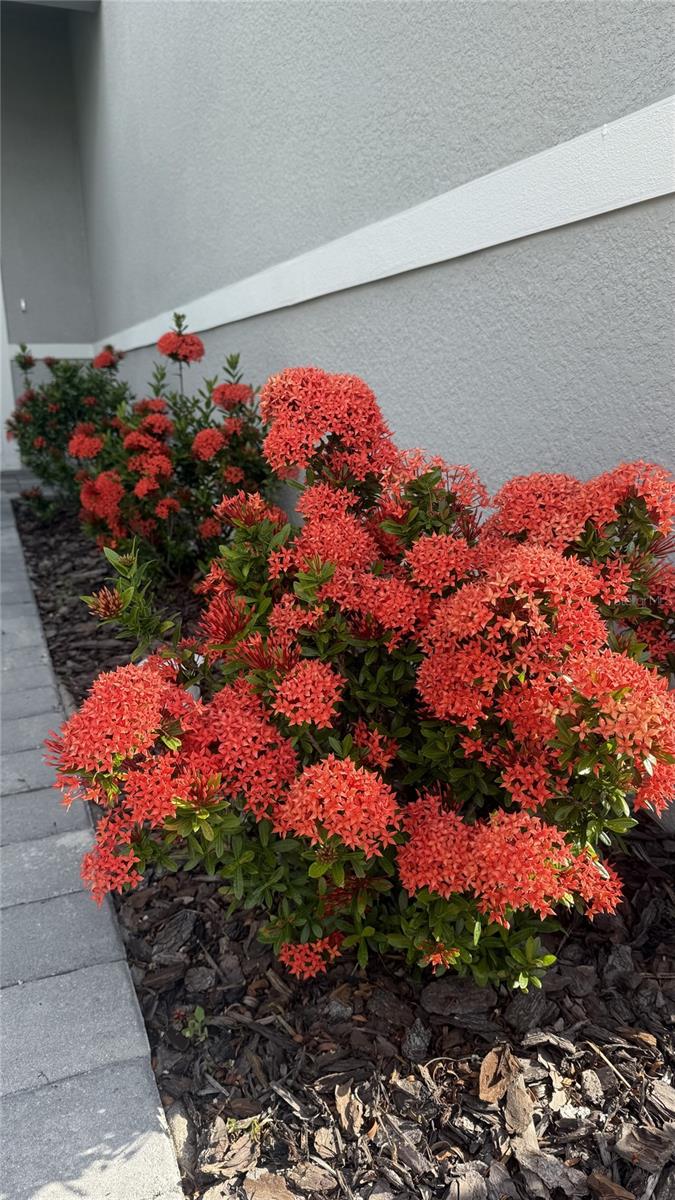Image 36 of 50 For 14312 Crimson Avenue