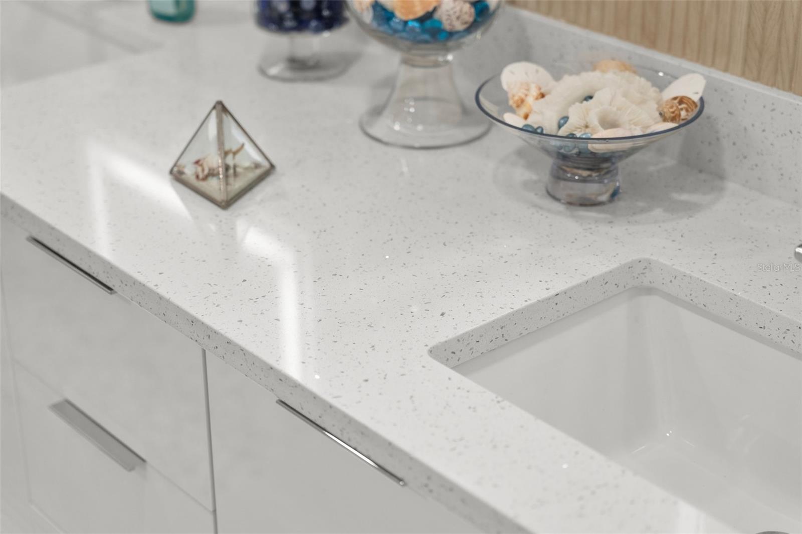 Image 24 of 84 For 988 Blvd Of The Arts  109