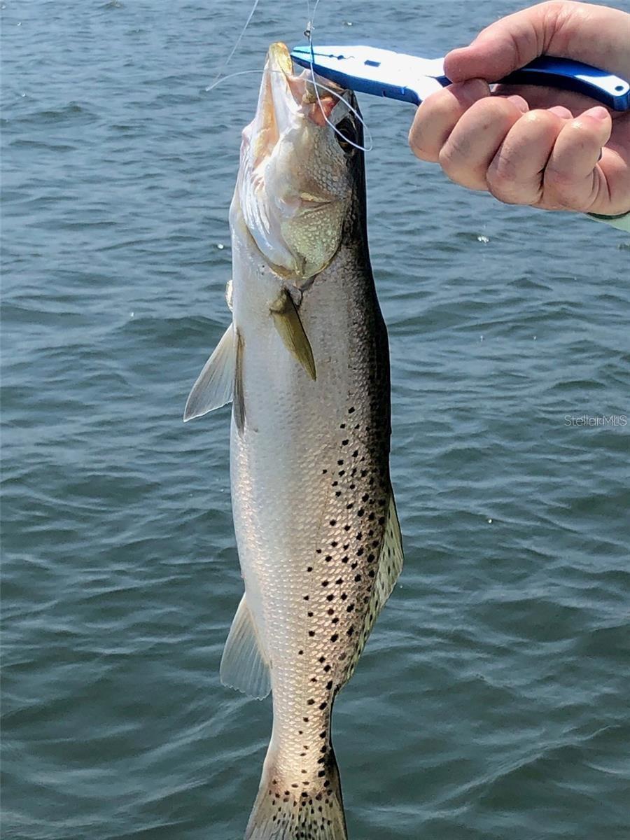 Image 64 of 84 For 988 Blvd Of The Arts  109