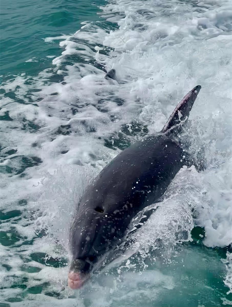 Image 67 of 84 For 988 Blvd Of The Arts  109