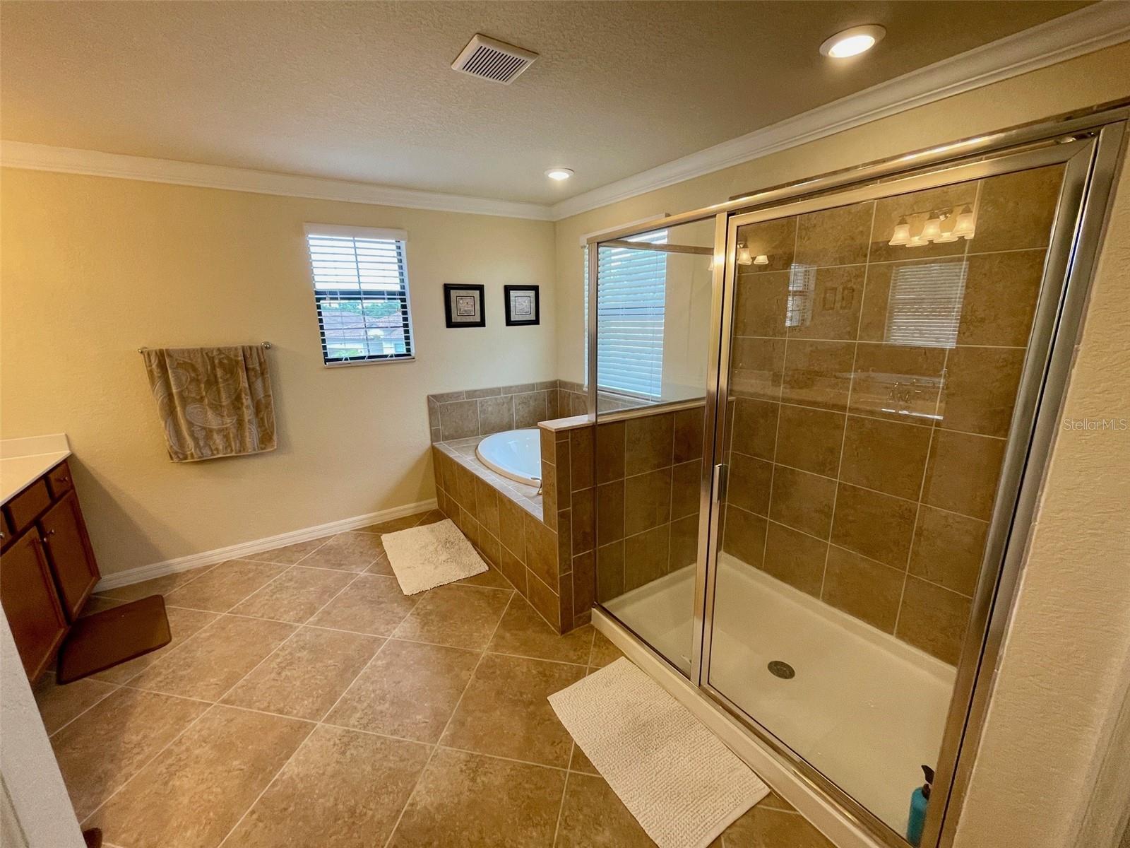 Image 18 of 52 For 20940 Valore Court