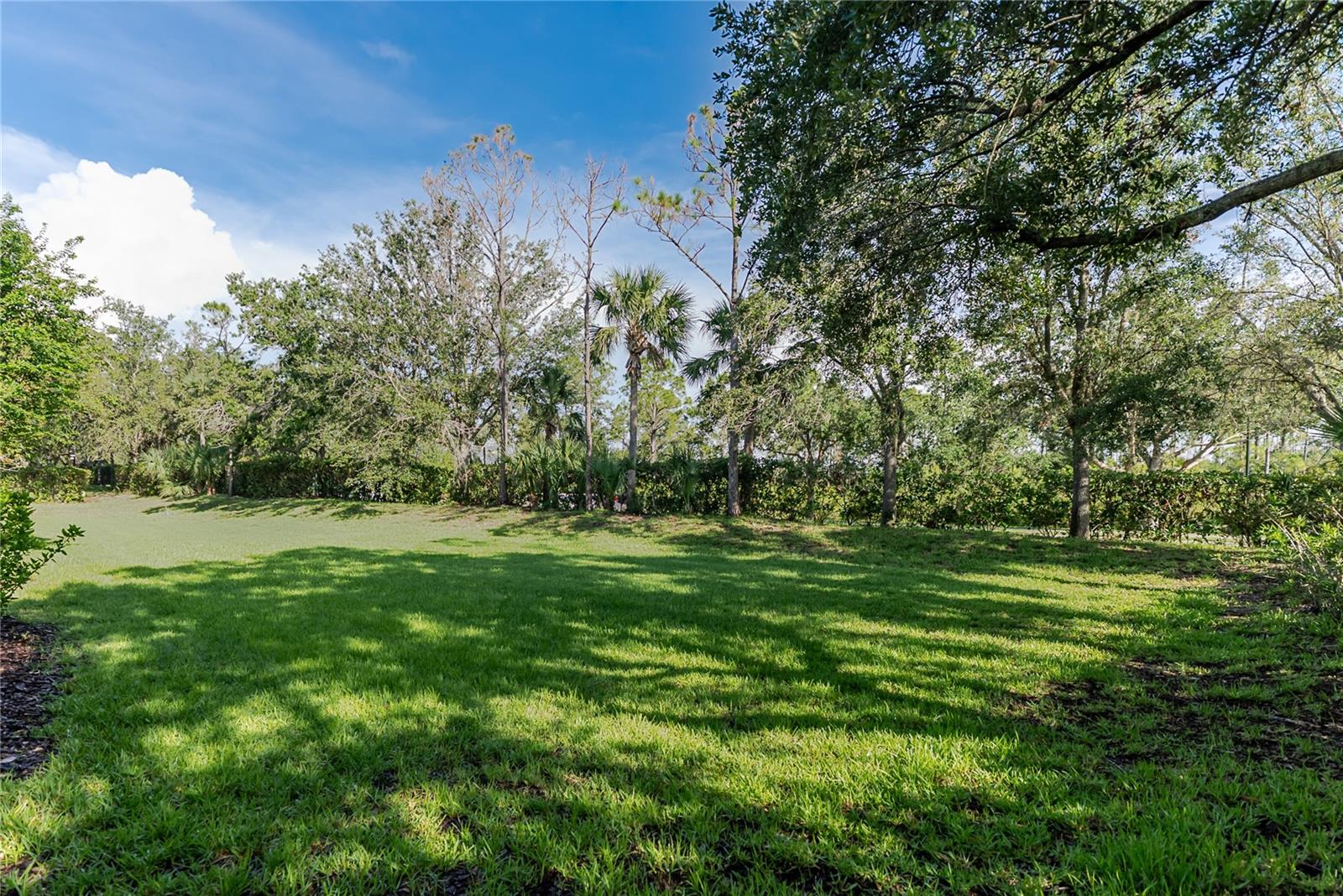 Image 31 of 43 For 13084 Tigers Eye Drive