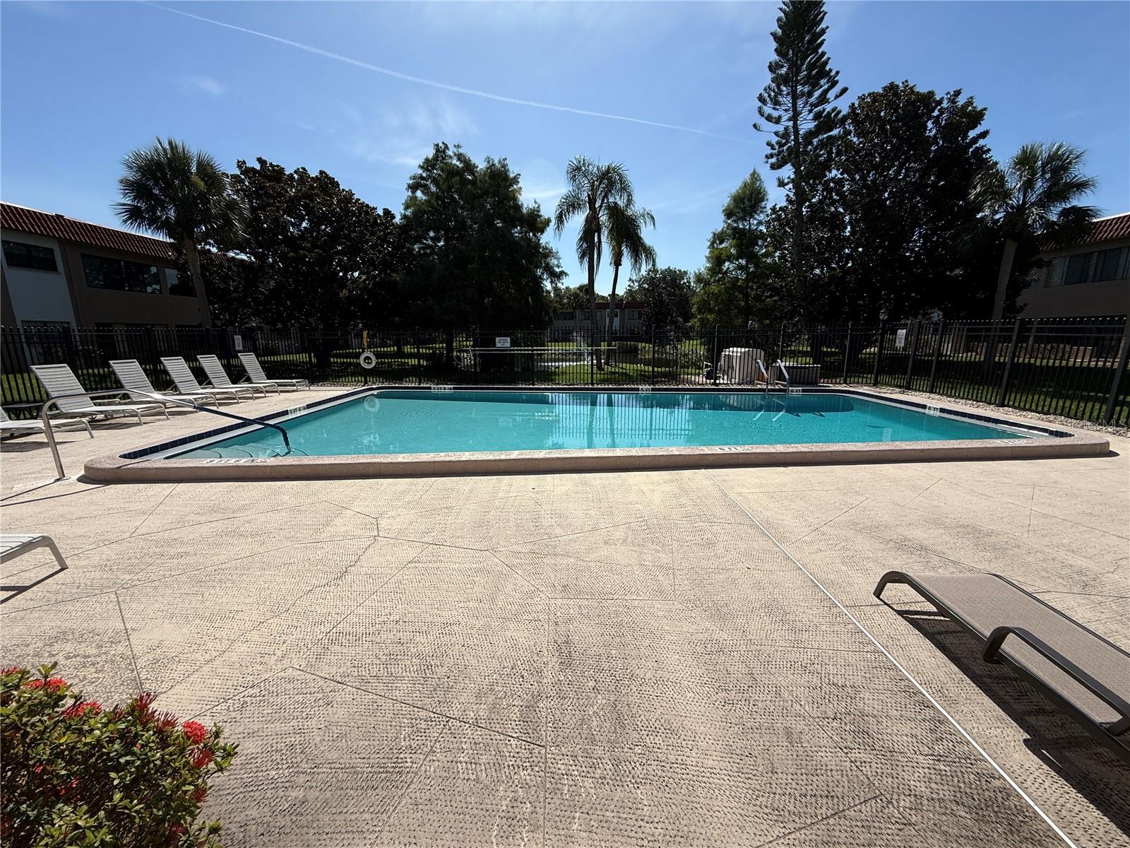 Image 21 of 26 For 1750 Belleair Forest Drive A13