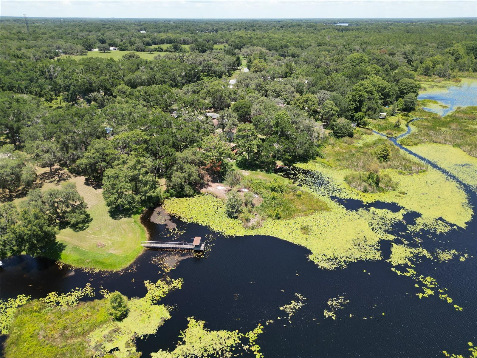 Image 44 of 45 For 8781 Lakeshore Drive