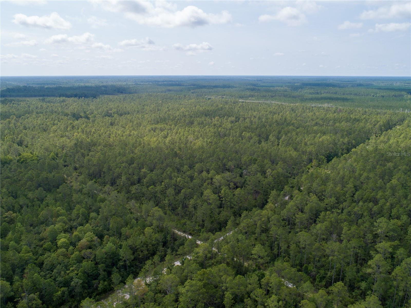 Details for Donna Street, HASTINGS, FL 32145
