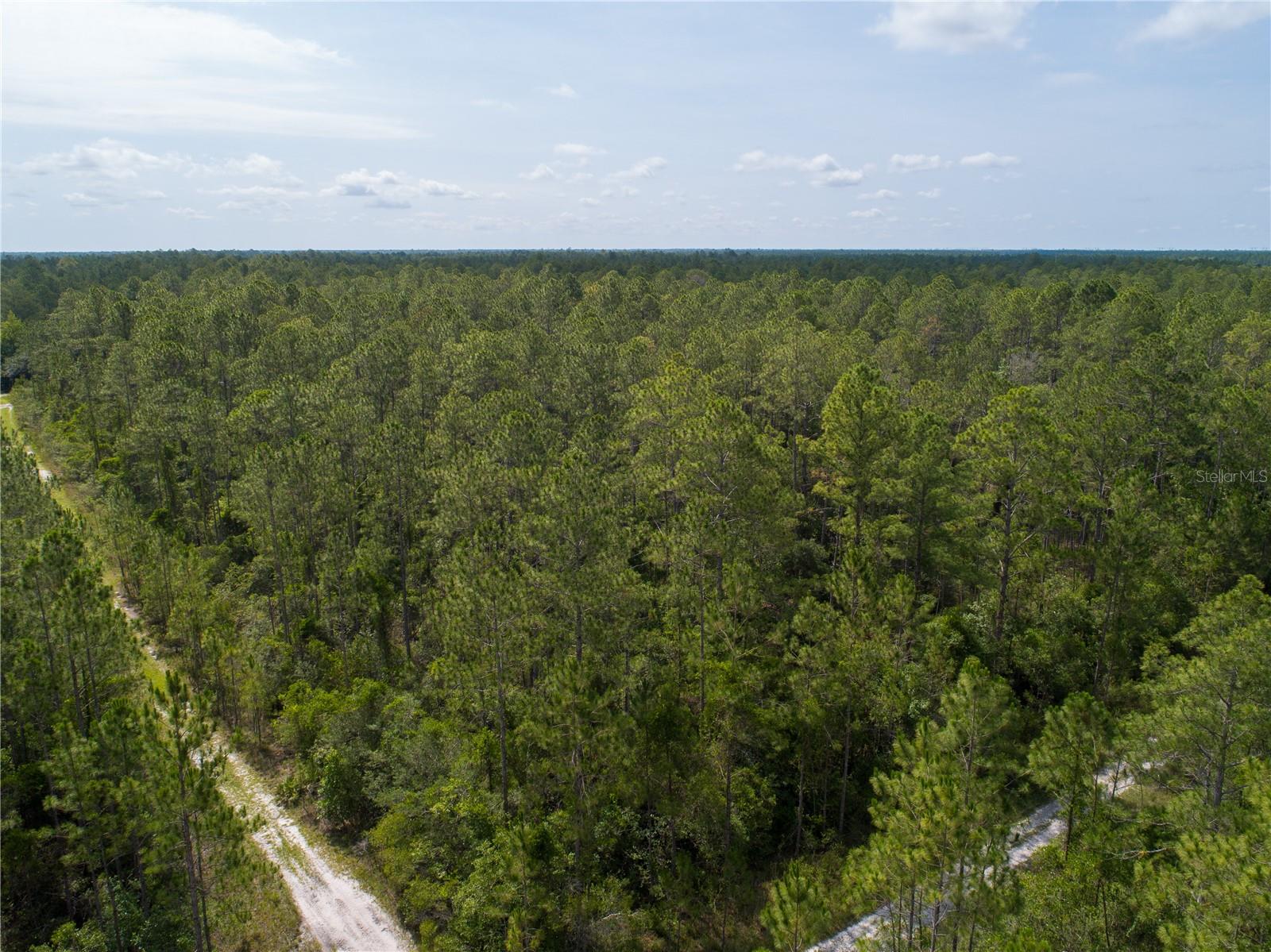 Image 8 of 10 For Donna Street
