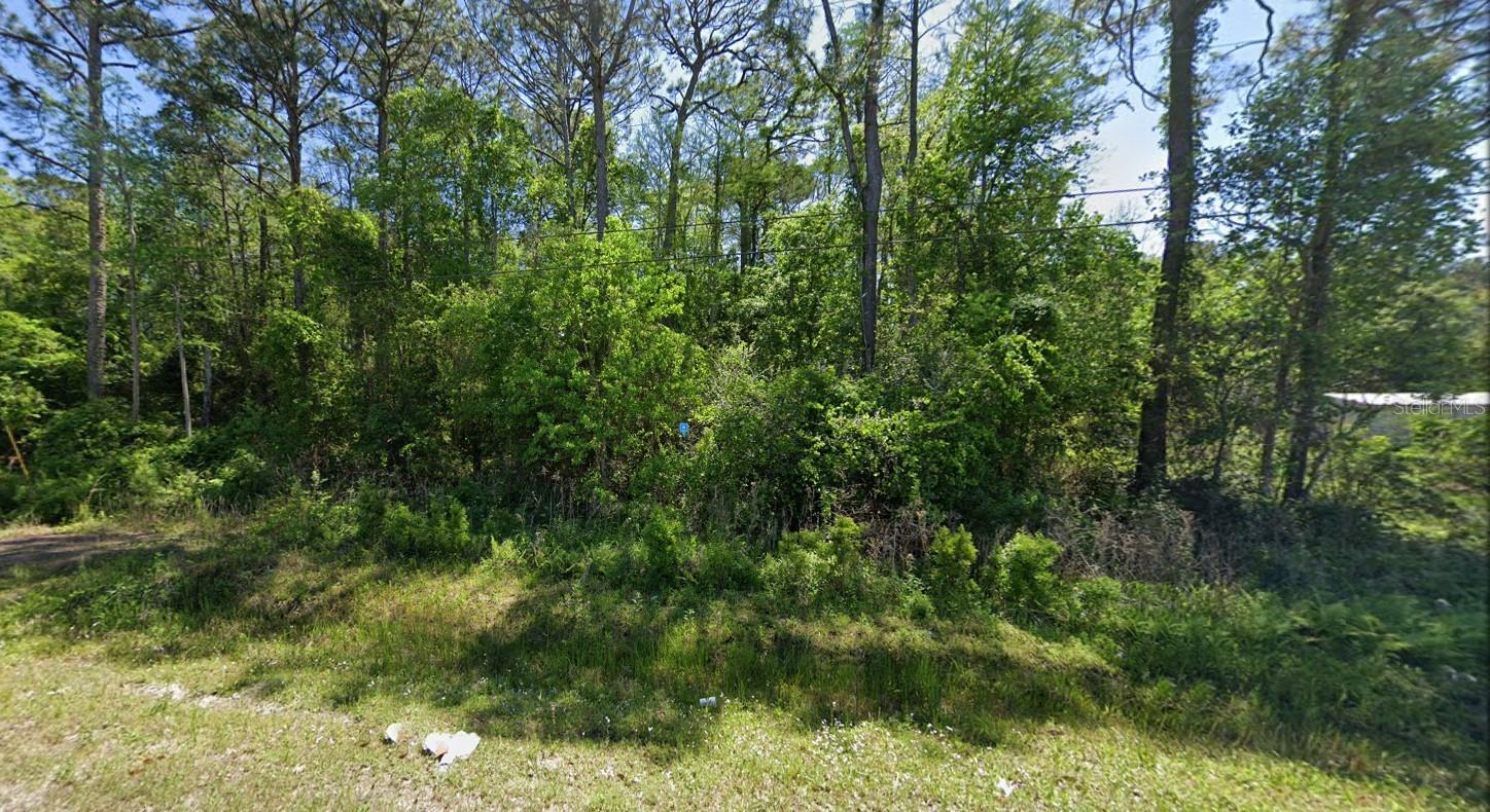 Image 2 of 7 For 2223 Cosmos Avenue