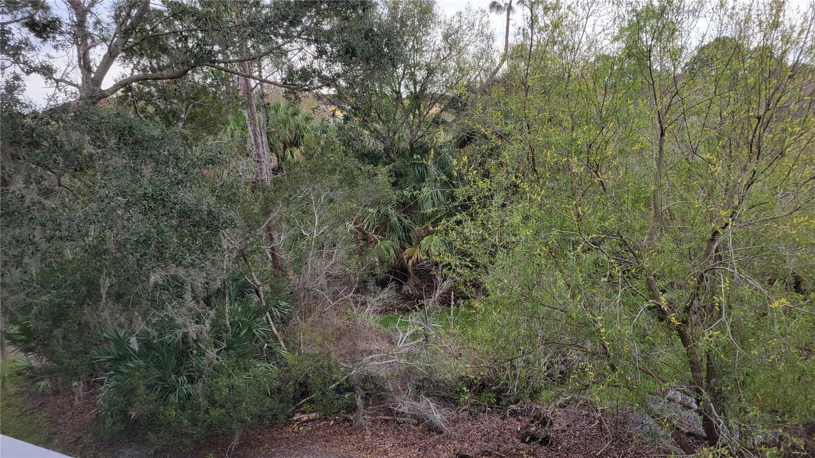 Image 21 of 46 For 5711 Bentgrass Drive 202