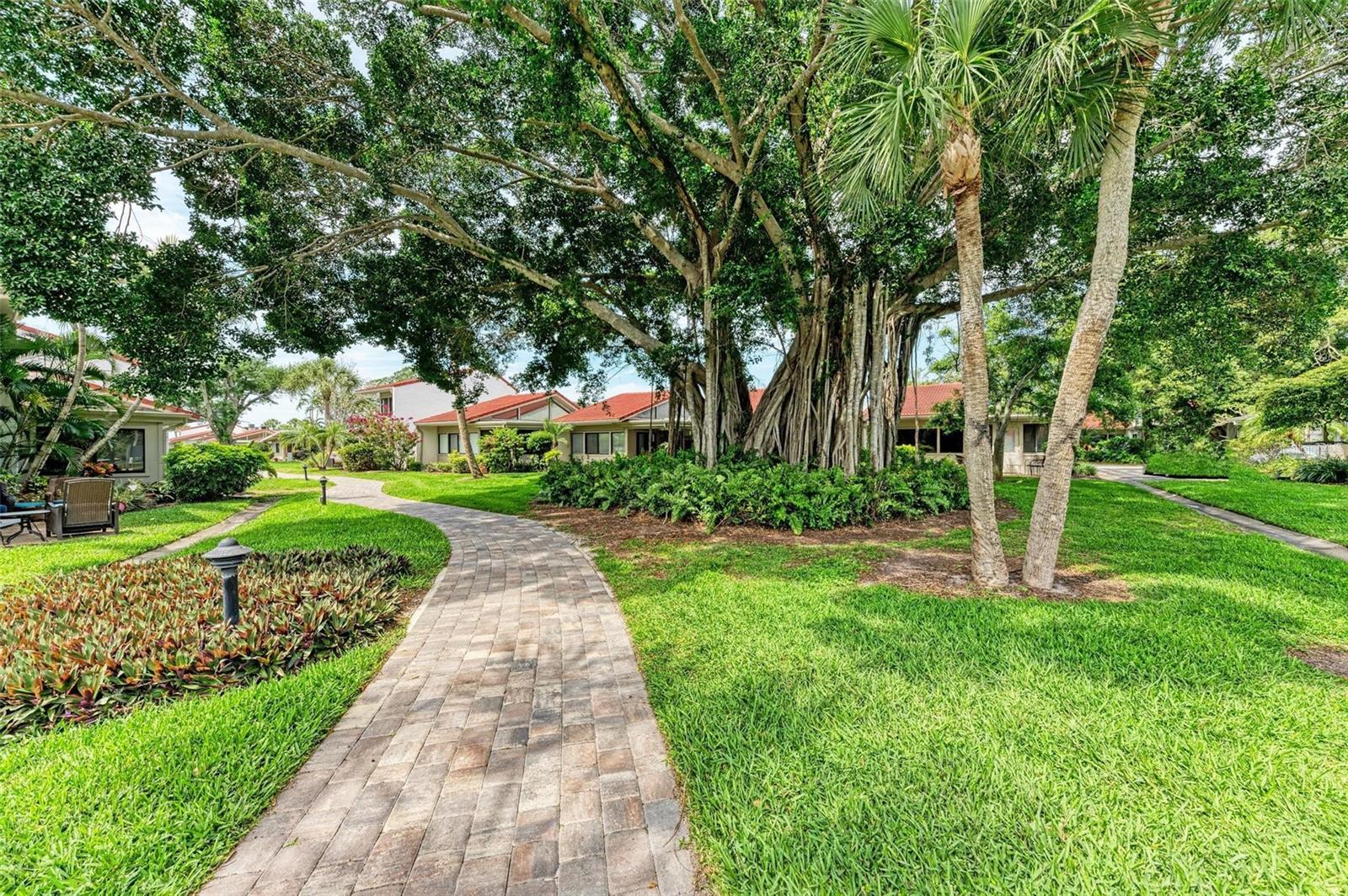 Image 45 of 53 For 500 Park Boulevard S 97