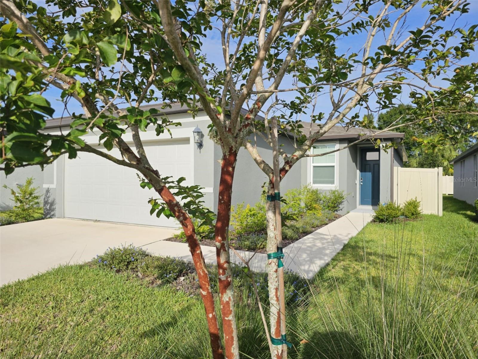 Image 2 of 22 For 7149 Boggy Creek Place