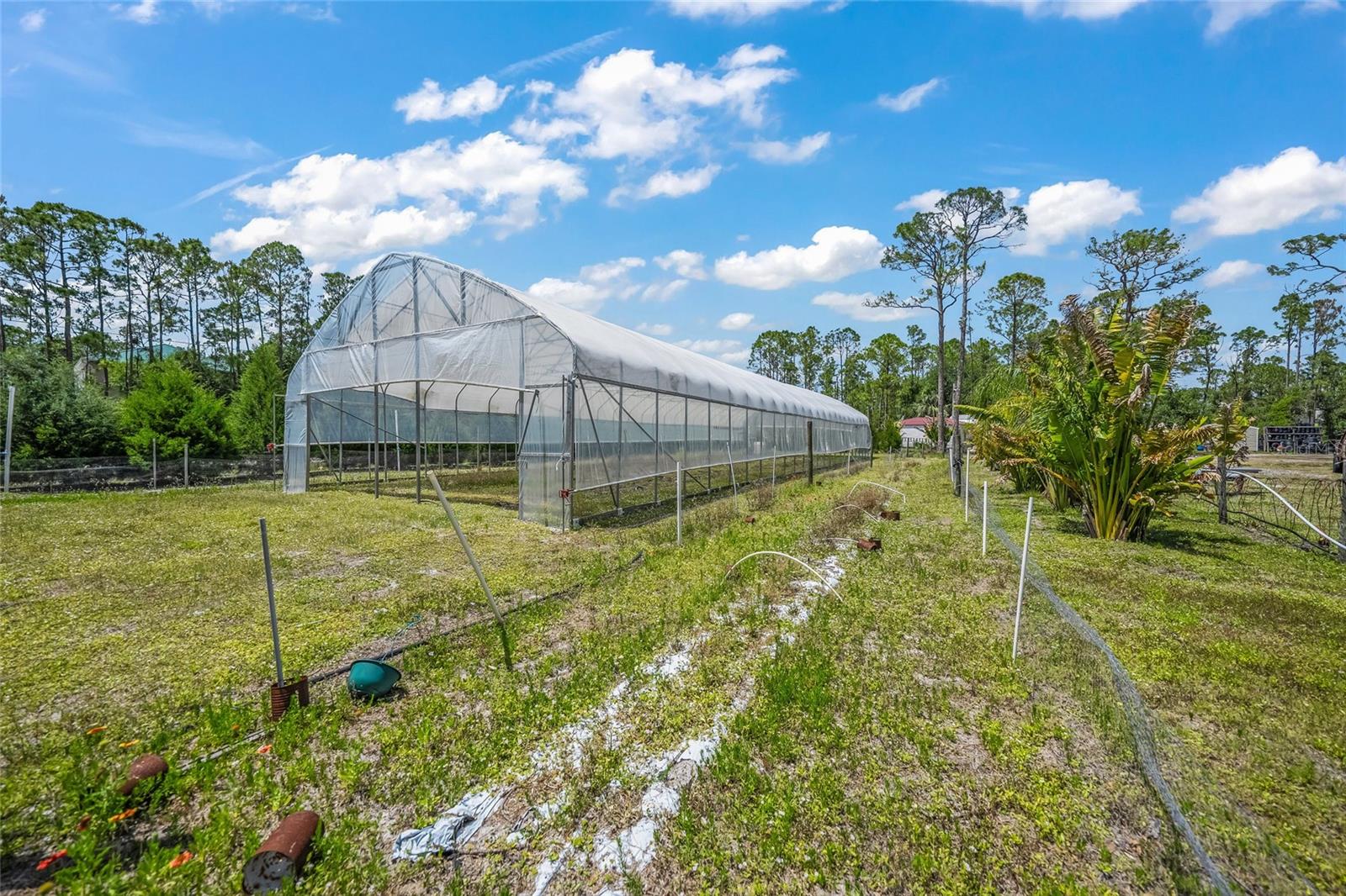 Image 23 of 64 For 8146 Tropicaire Boulevard