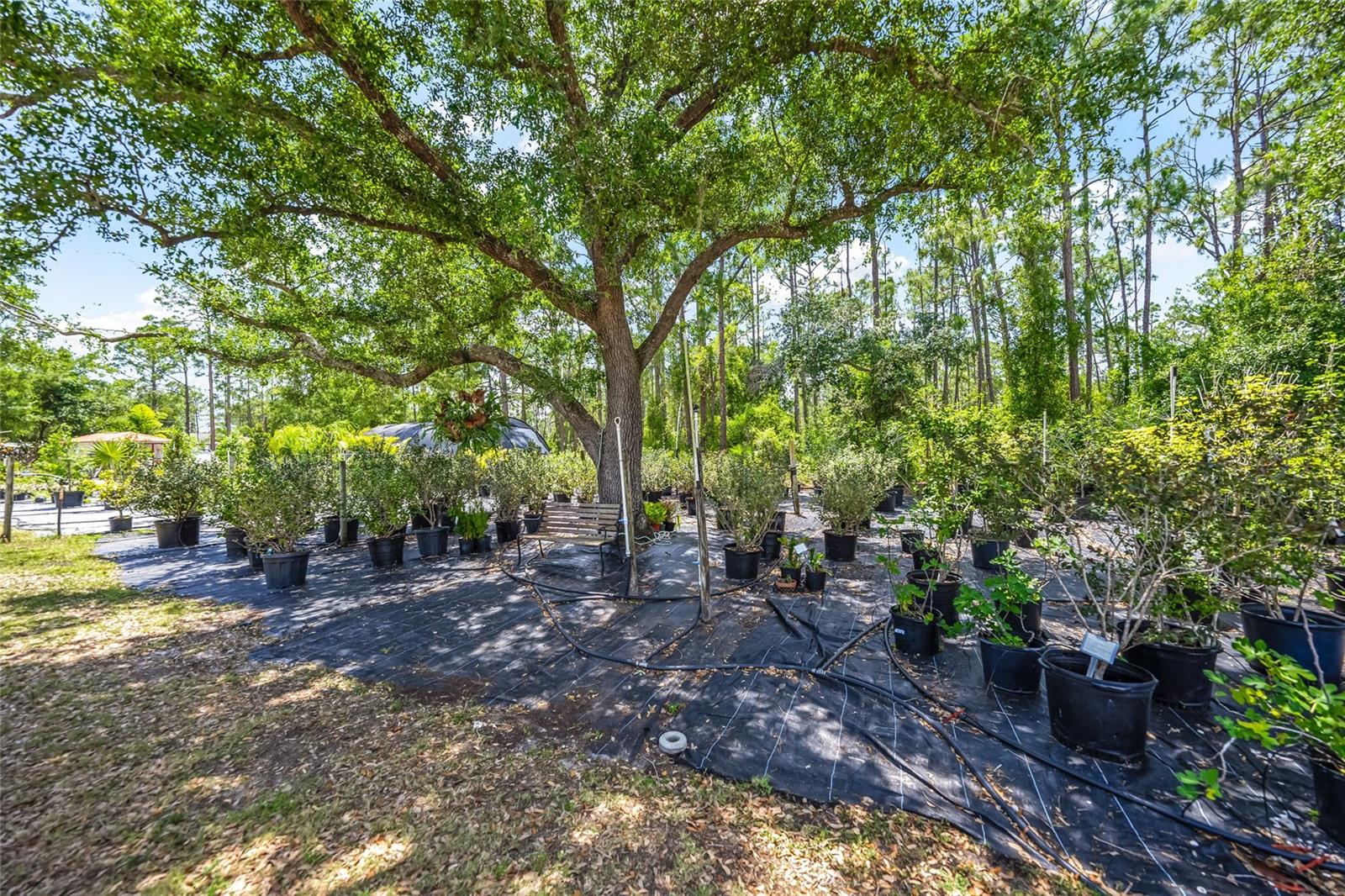 Image 25 of 64 For 8146 Tropicaire Boulevard