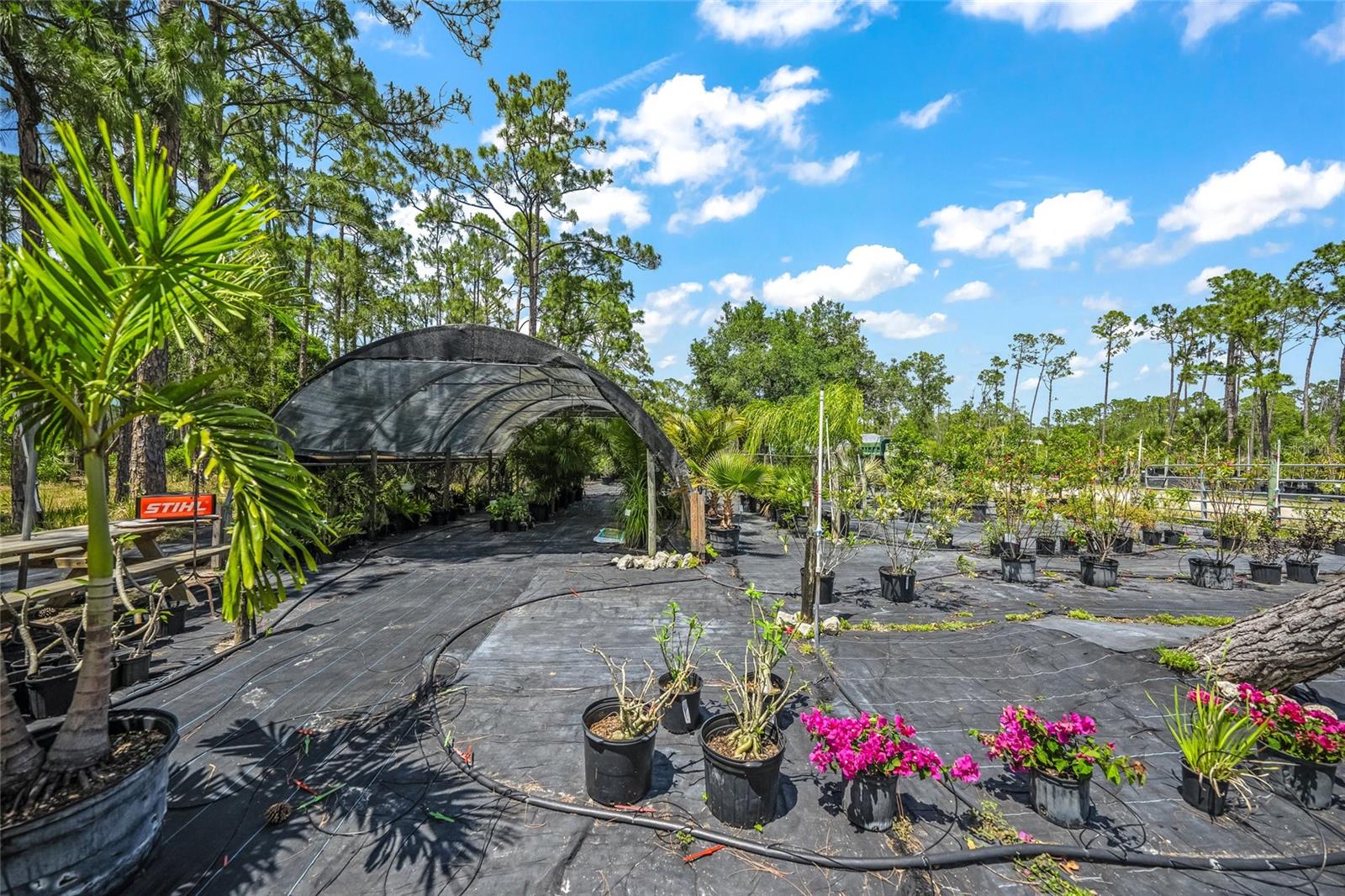 Image 27 of 64 For 8146 Tropicaire Boulevard