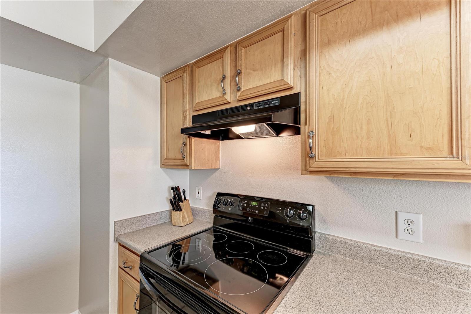 Image 13 of 31 For 1030 Villagio Circle 103