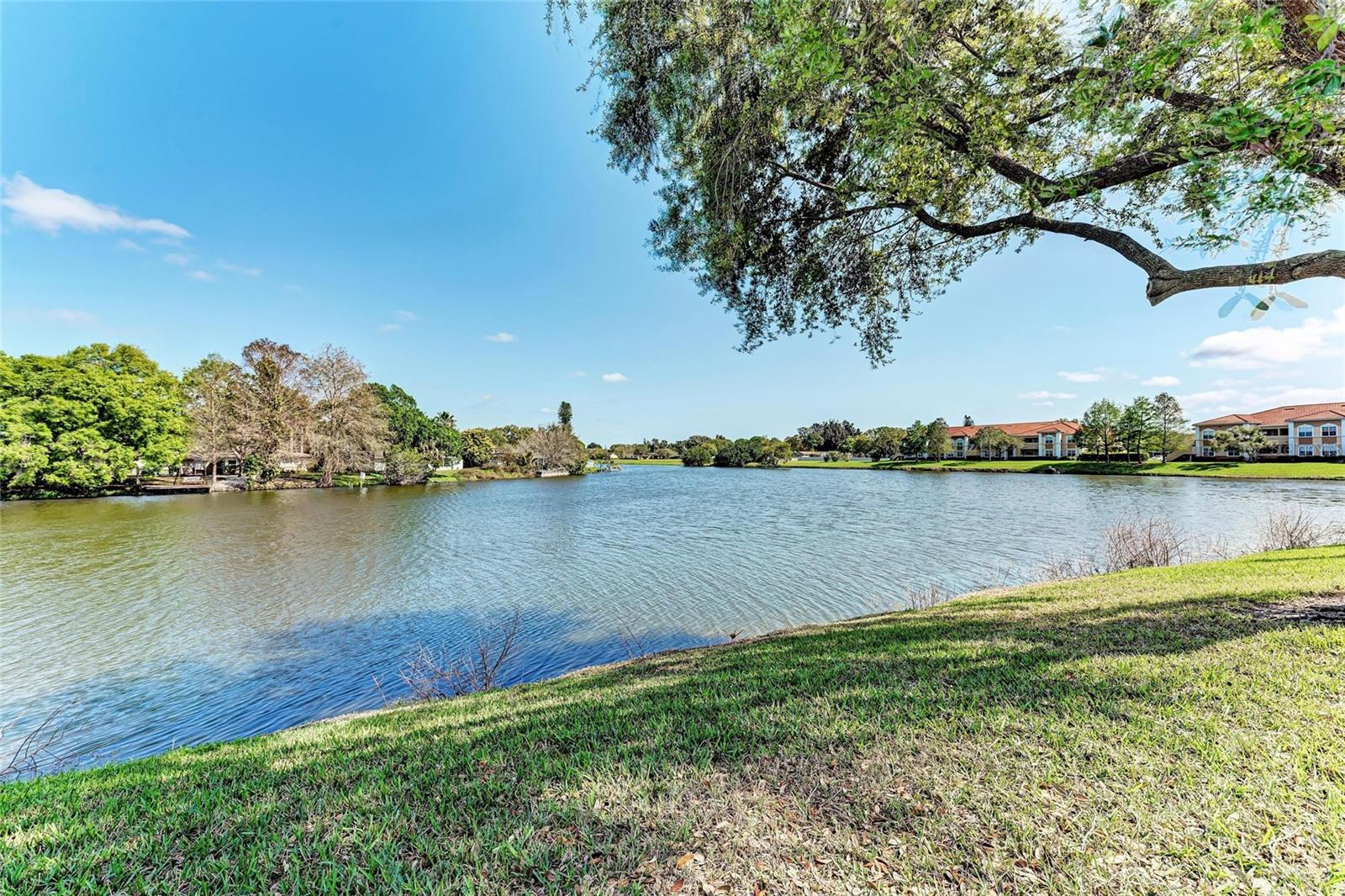 Image 26 of 31 For 1030 Villagio Circle 103