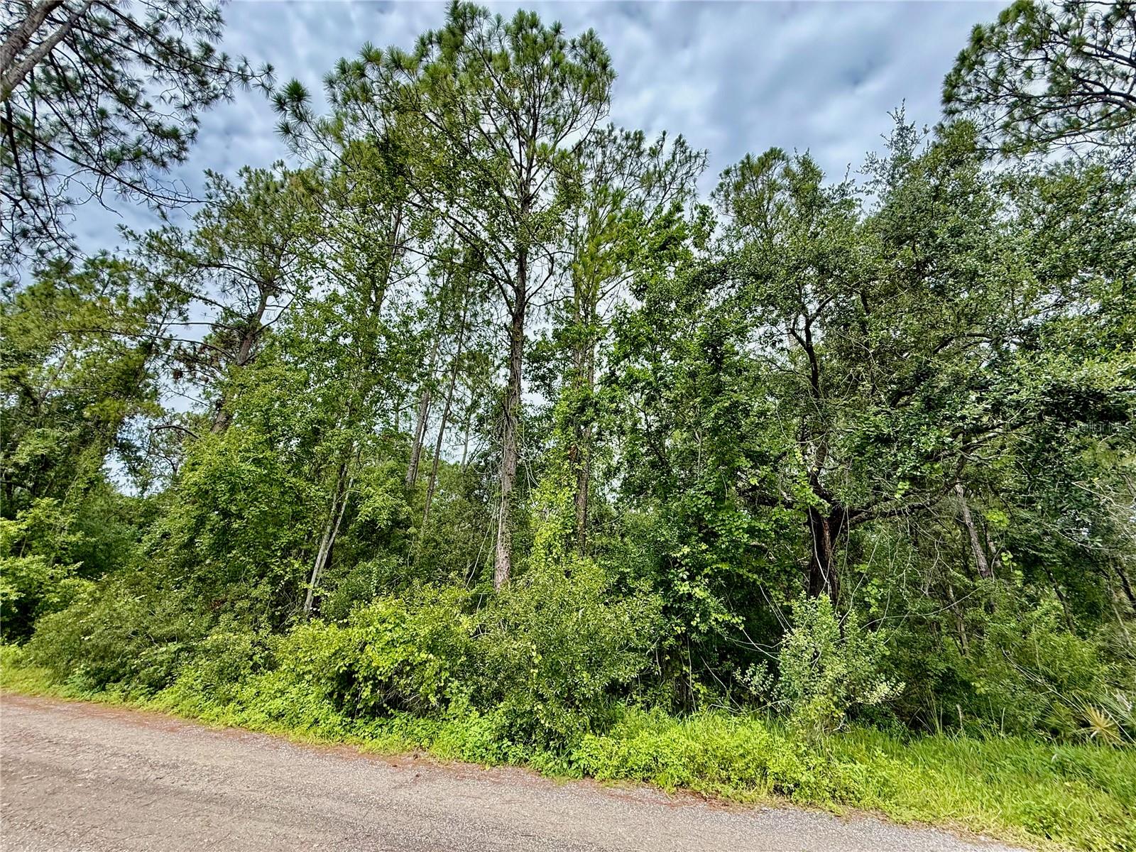 Listing Details for Westpoint Drive Lot#474, WESLEY CHAPEL, FL 33544