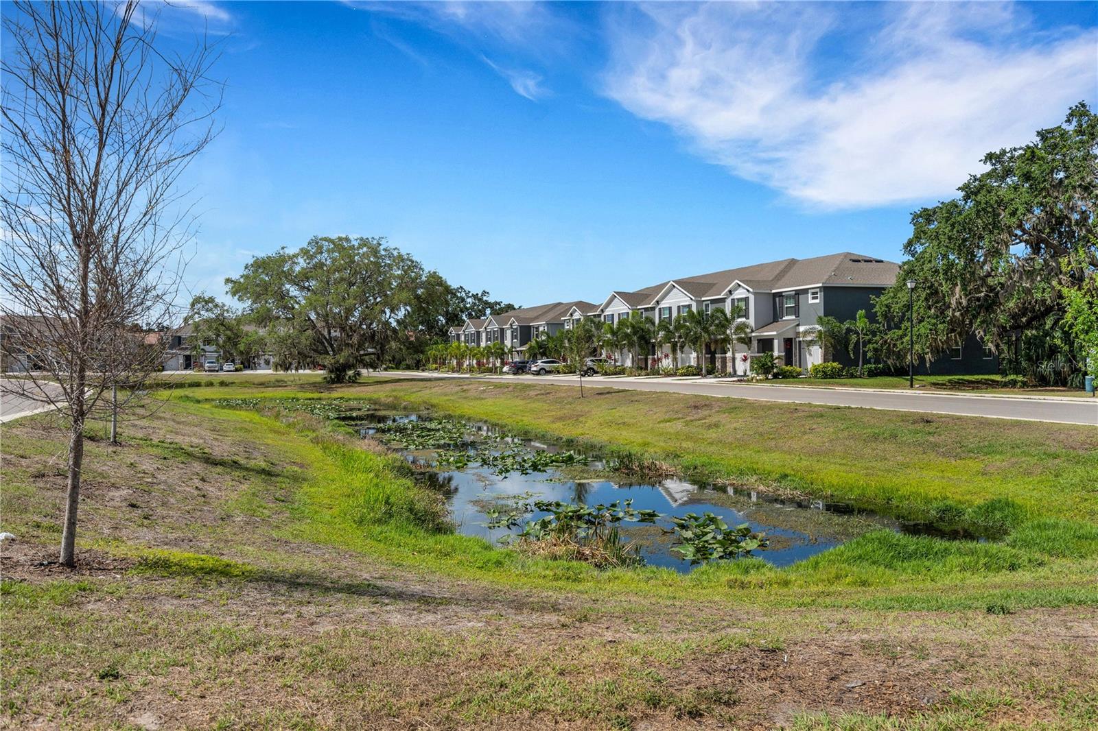 Image 46 of 66 For 8649 Daydream Street