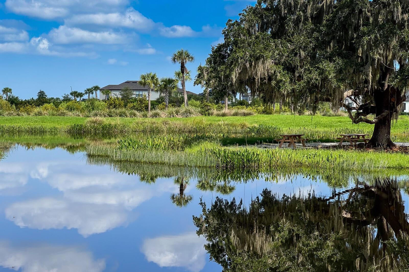 Image 65 of 88 For 9312 Tequila Sunrise Drive