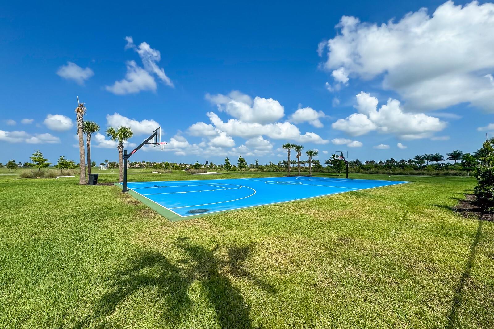 Image 77 of 88 For 9312 Tequila Sunrise Drive