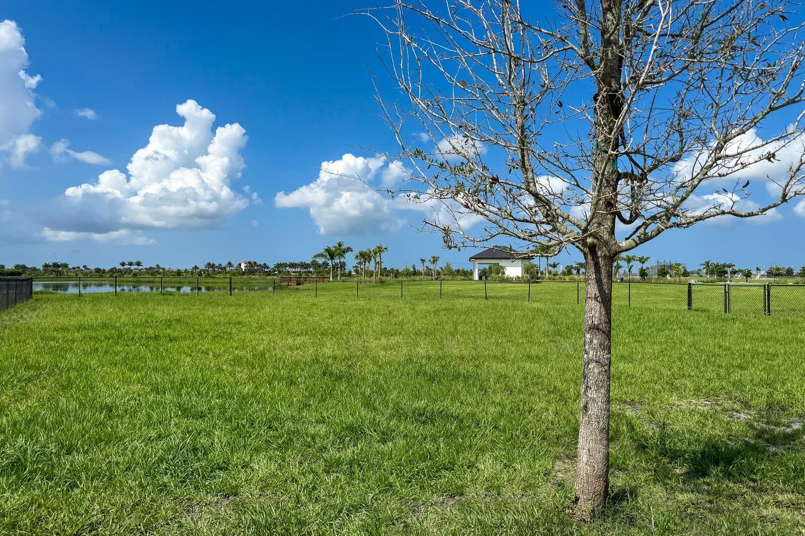 Image 87 of 88 For 9312 Tequila Sunrise Drive