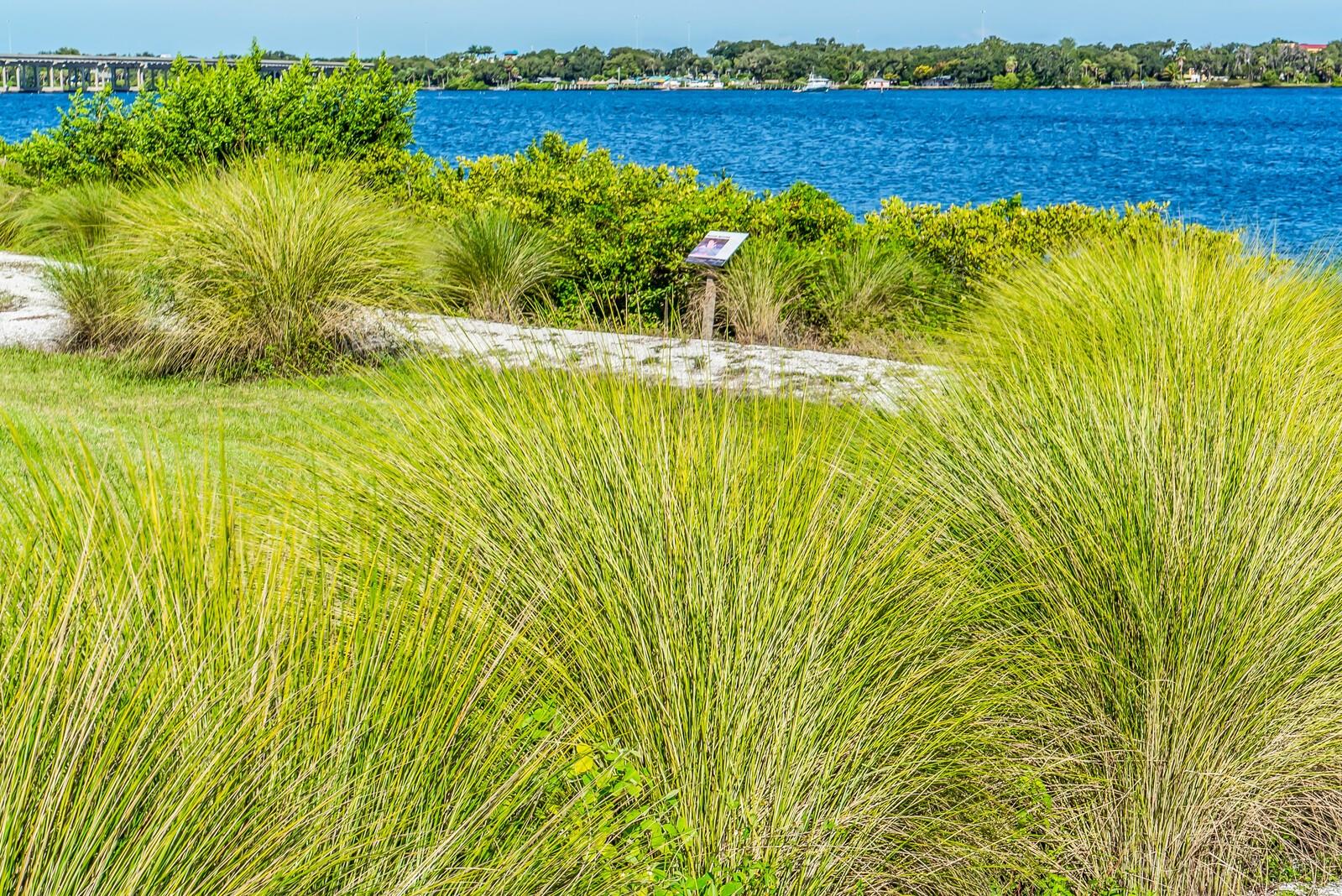 Image 40 of 55 For 917 Tidewater Shores Loop