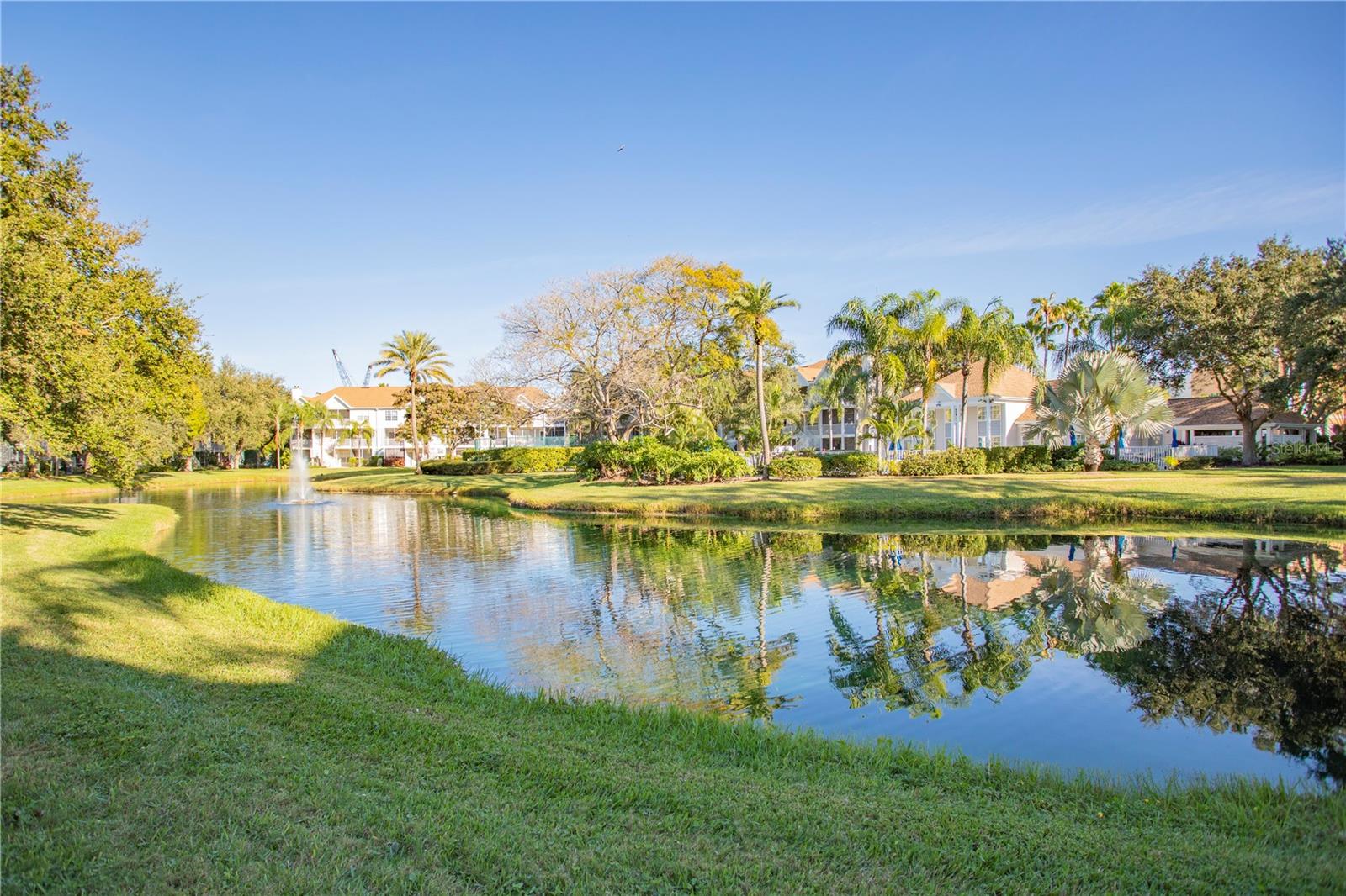 Image 4 of 17 For 850 Tamiami Trail 227