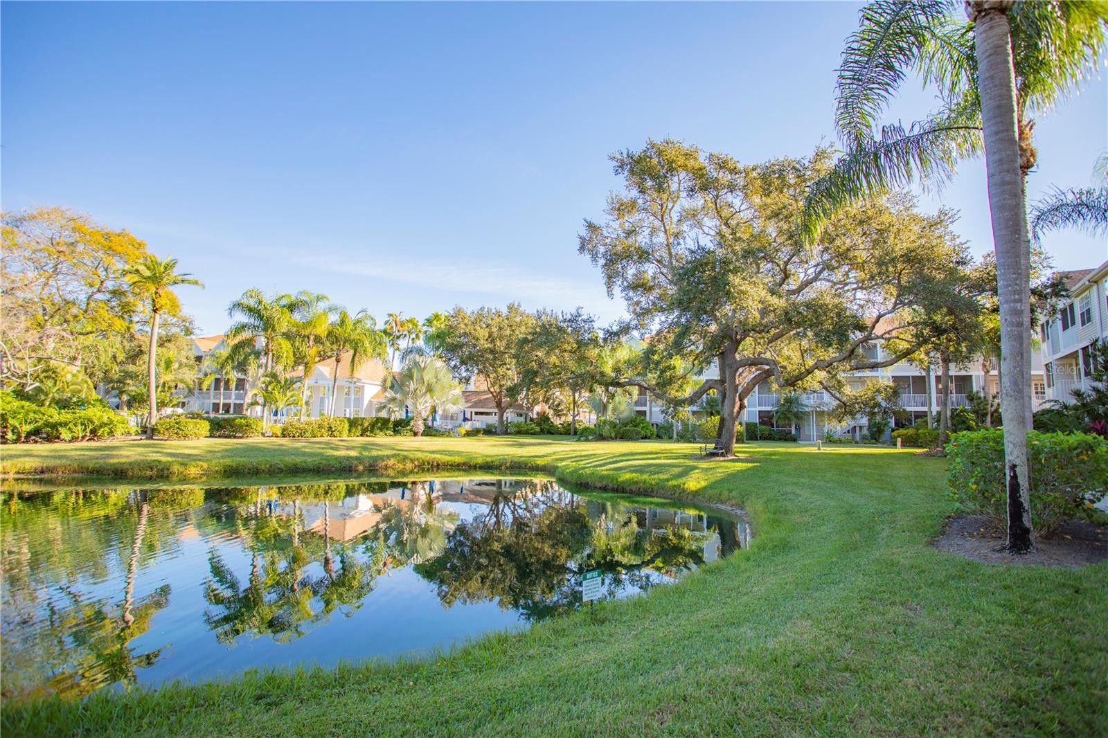 Image 5 of 17 For 850 Tamiami Trail 227