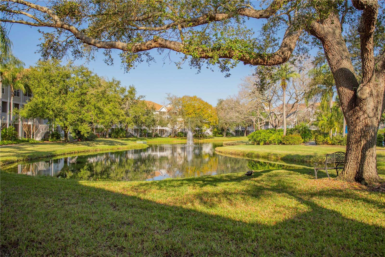 Image 8 of 17 For 850 Tamiami Trail 227