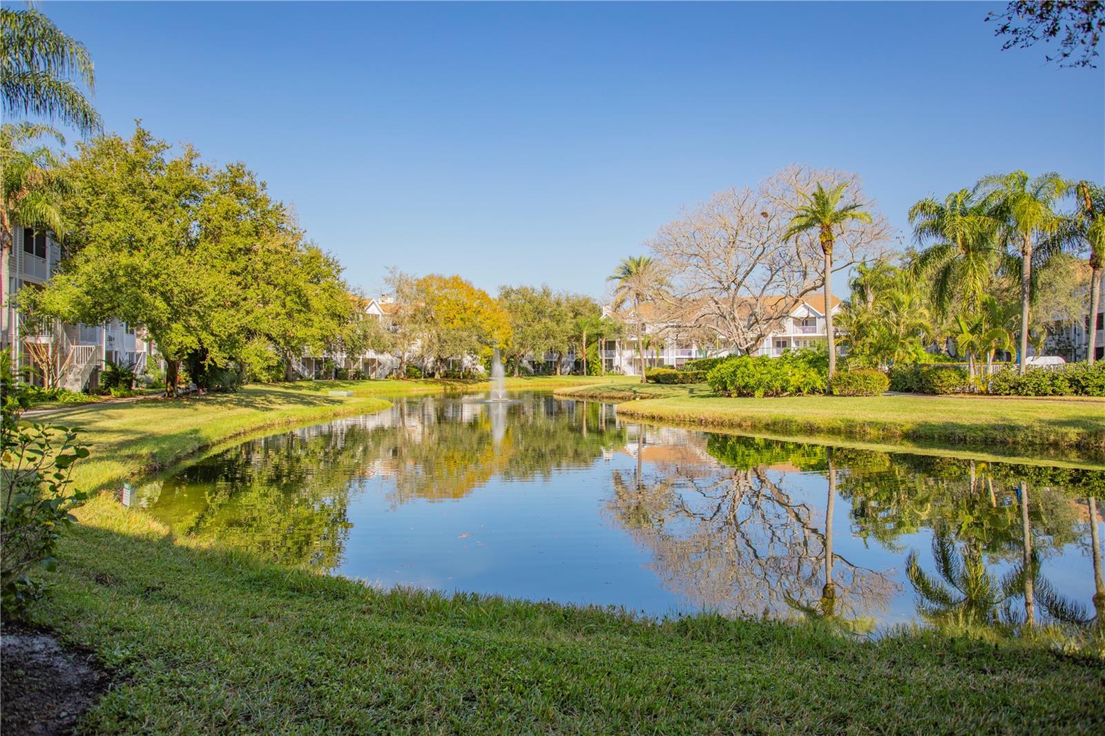 Image 9 of 17 For 850 Tamiami Trail 227