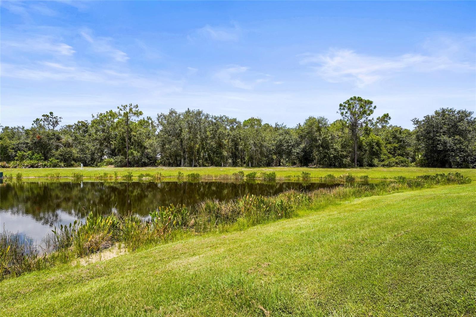 Image 53 of 85 For 2525 Paradise Plum Drive