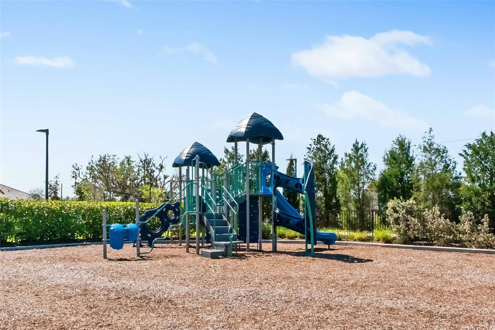 Image 74 of 85 For 2525 Paradise Plum Drive