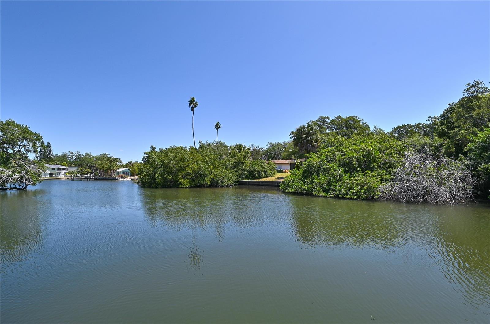 Image 33 of 36 For 2124 Tamiami Trail N 103
