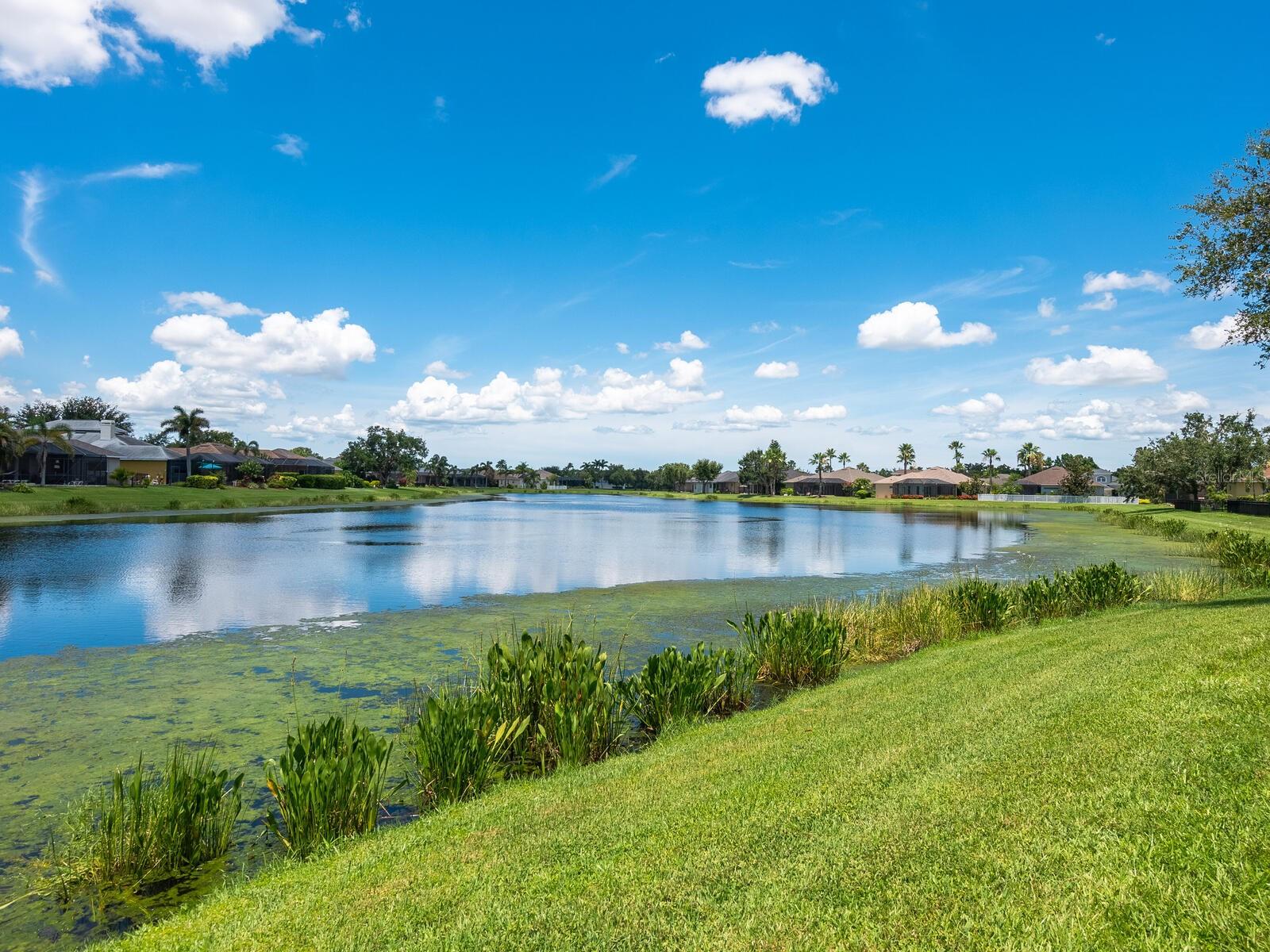 Image 38 of 55 For 280 Dahlia Court