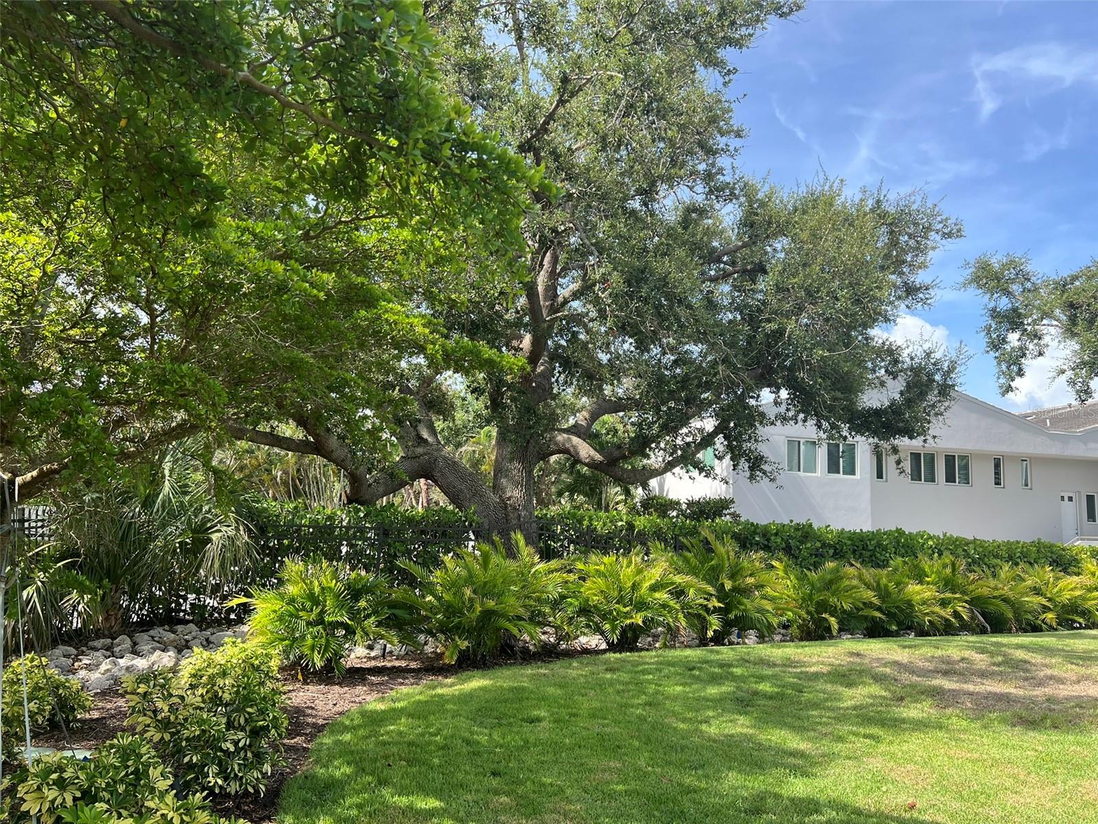 Image 17 of 34 For 622 Bayshore Drive