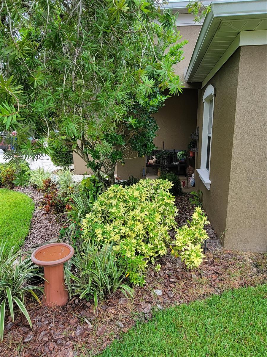 Image 8 of 37 For 2819 47th Street E
