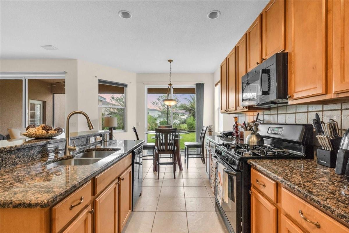 Image 9 of 18 For 15688 Lemon Fish Drive
