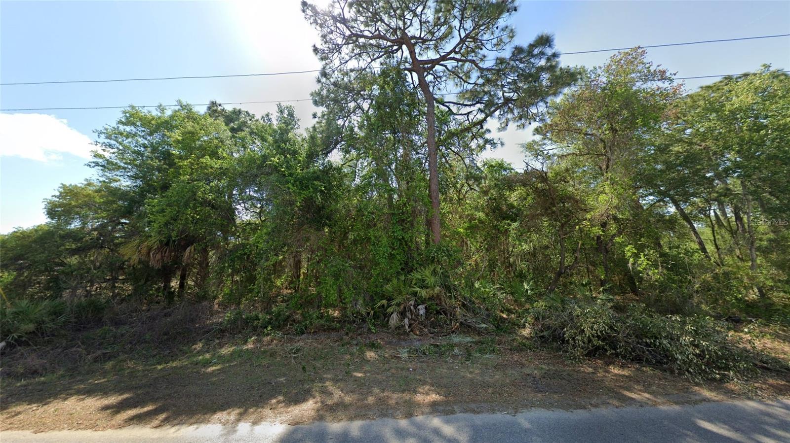 Details for 1188 Gettysburg Drive, HOMOSASSA, FL 34448