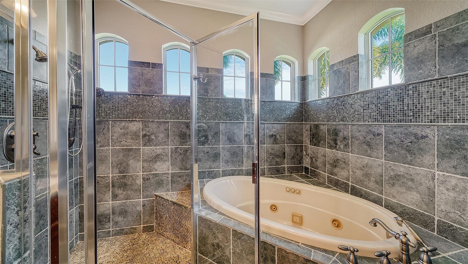 Image 37 of 100 For 242 Pesaro Drive