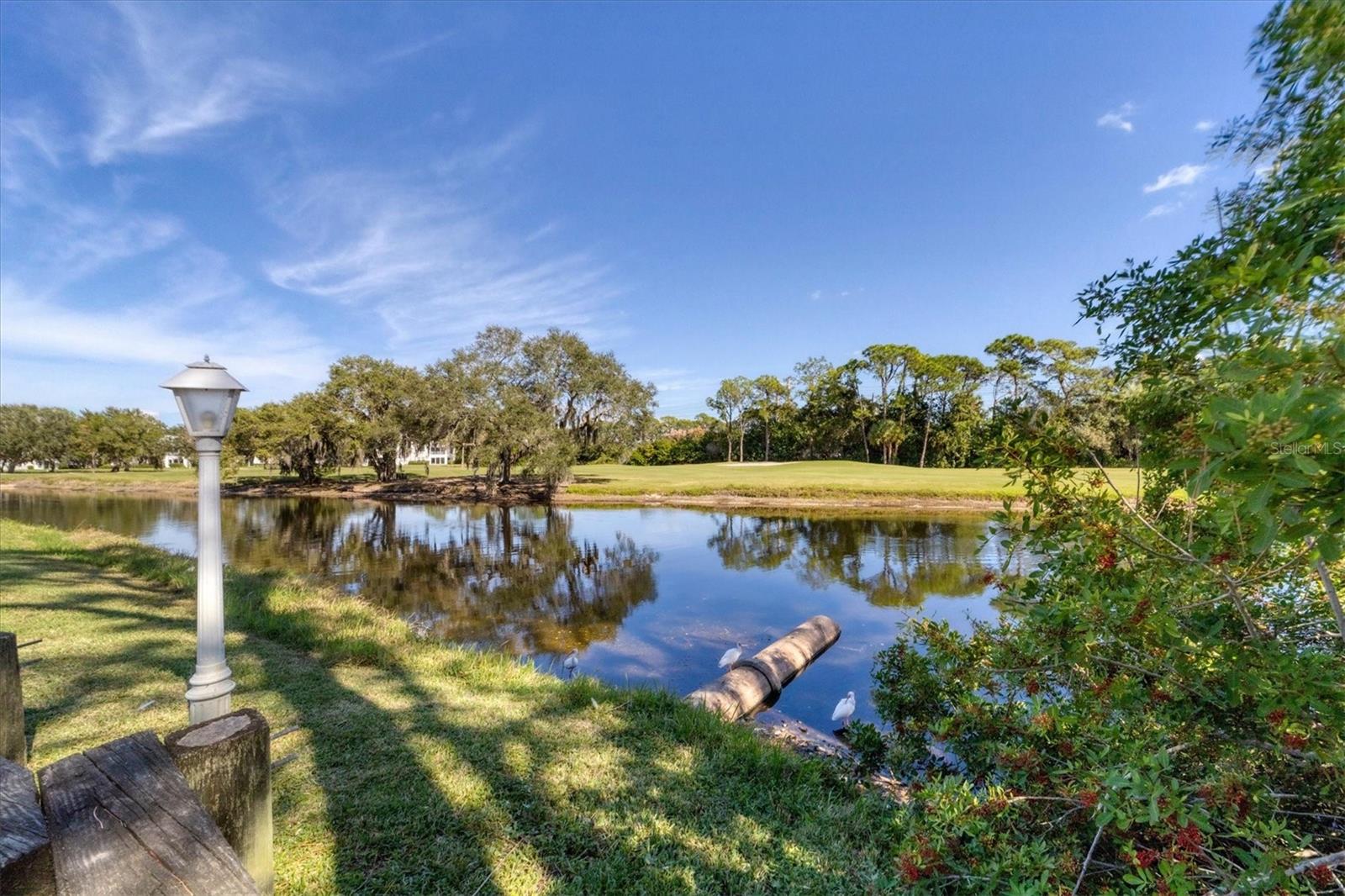 Image 44 of 92 For 5662 Long Common Circle 8