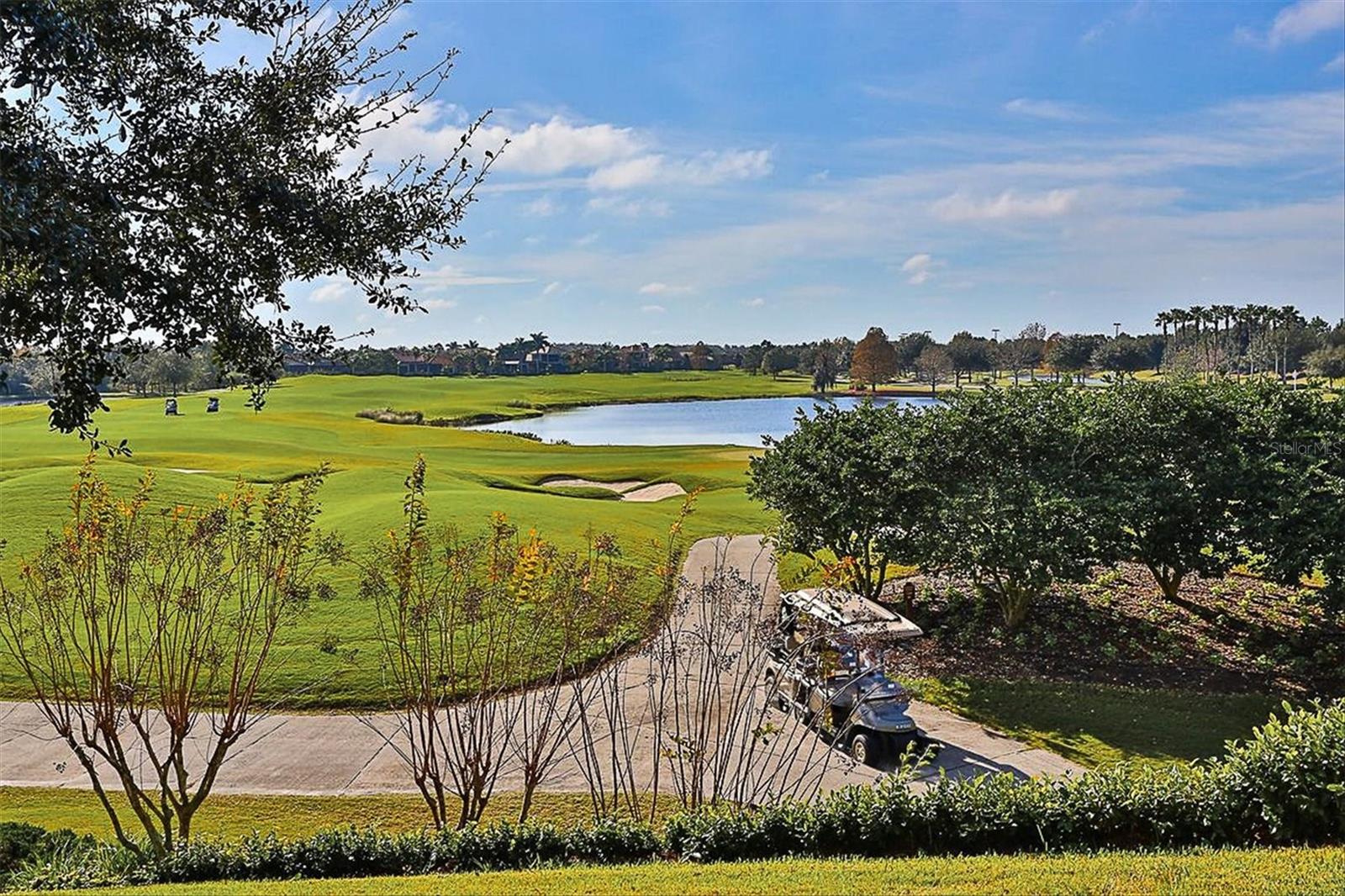 Image 87 of 92 For 14611 Leopard Creek Place