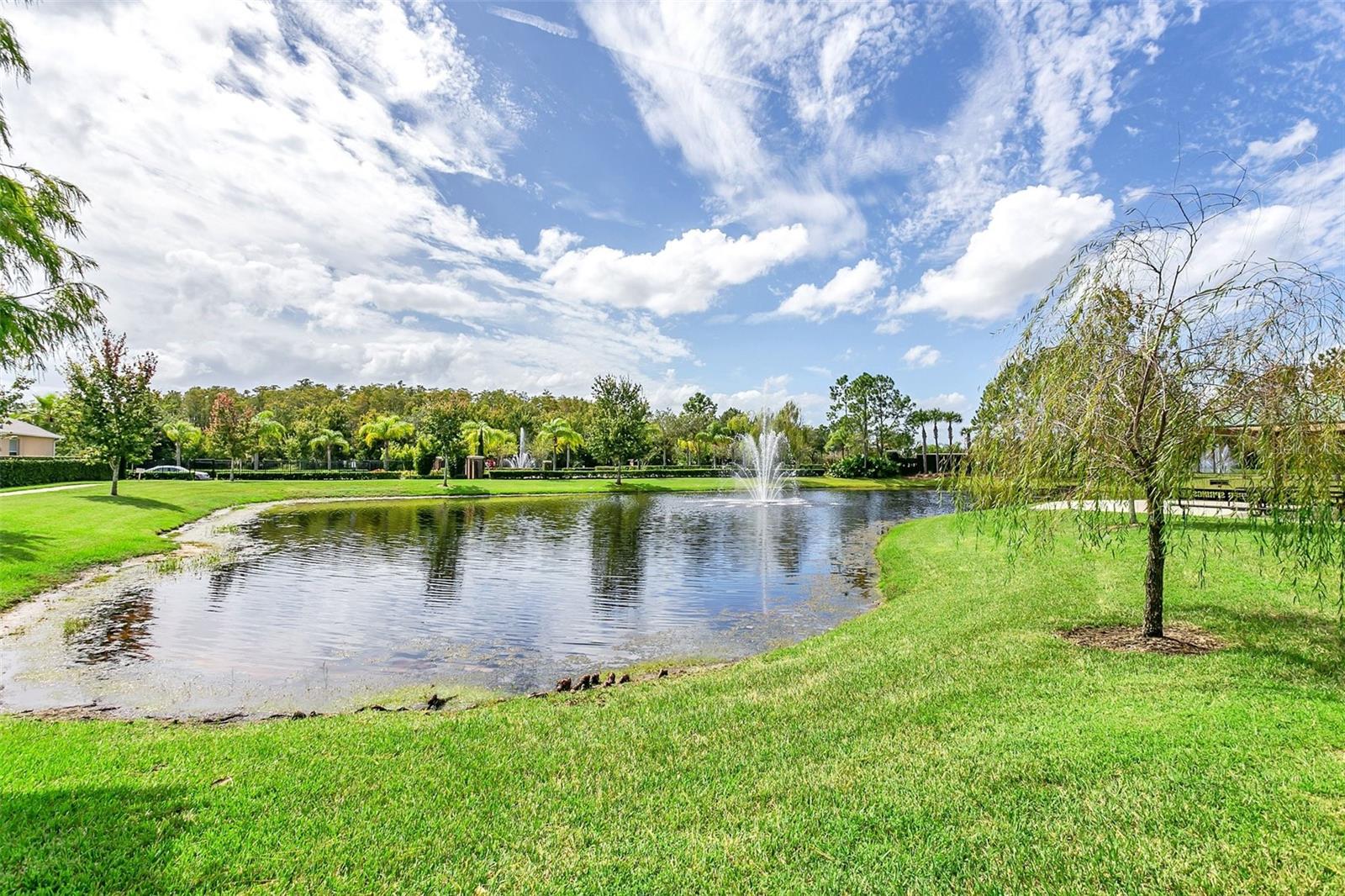Image 34 of 35 For 12746 Avalon Lake Drive