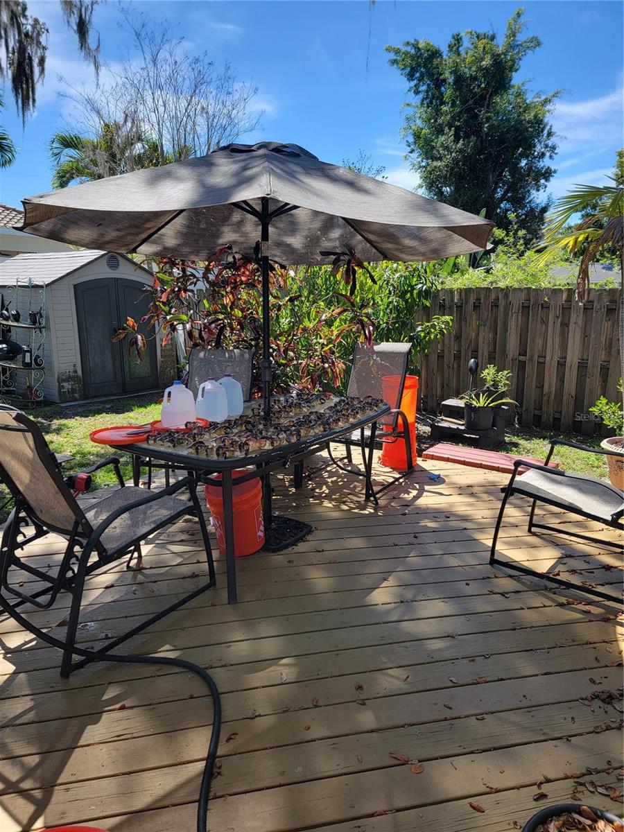 Image 21 of 46 For 1832 Ivanhoe Street
